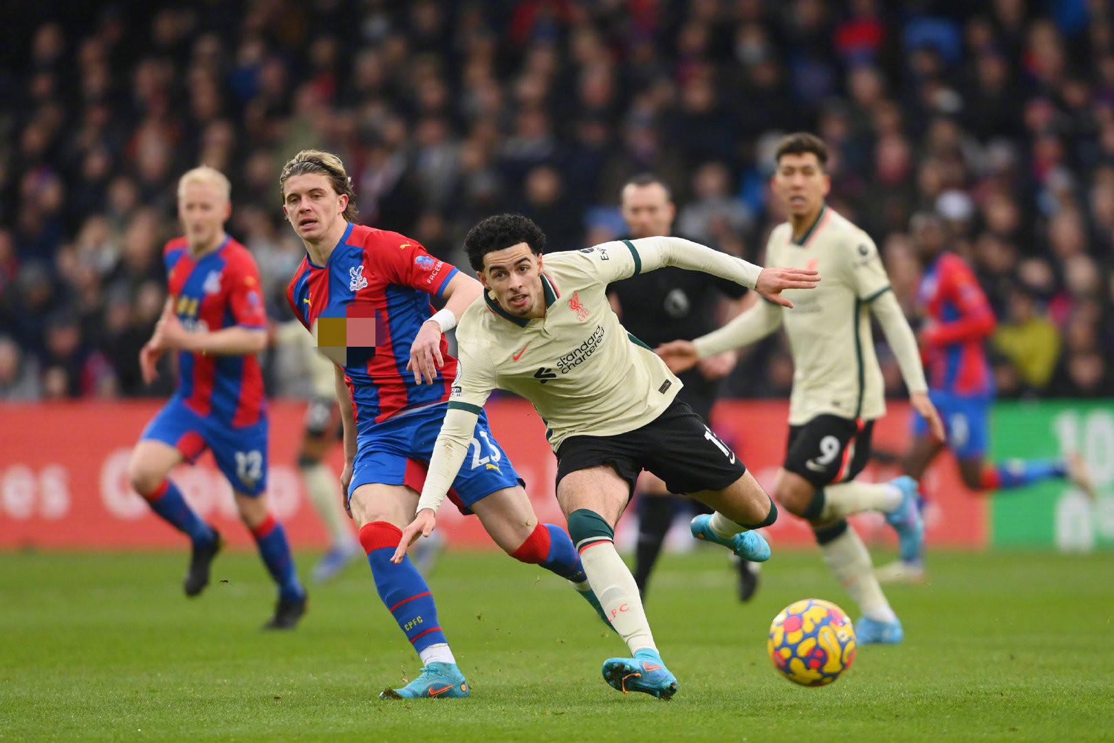 没有找到有 没有找到有